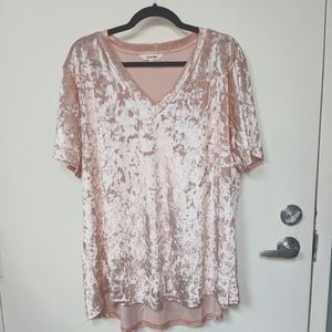 Amaryllis Baby Pink Crushed Velvet Vneck Top 2X